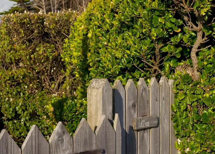 Gris Galets ברנוויל-קרטרט