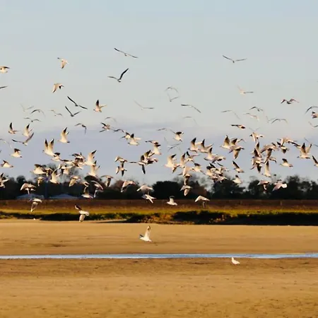 Gris Galets Barneville-Carteret